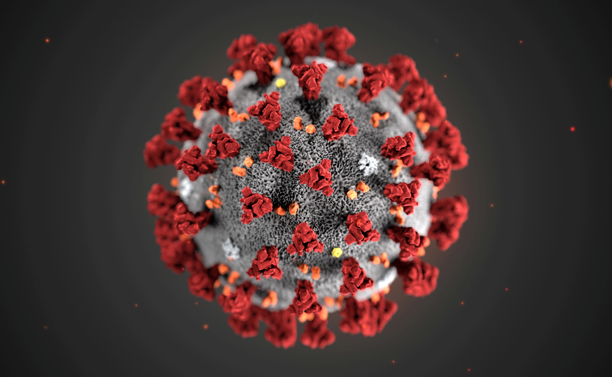 Lo que se sabe del nuevo coronavirus de Wuhan