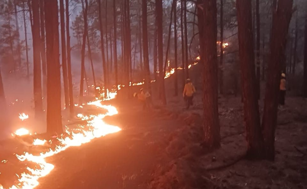 Siguen activos 8 incendios forestales en la Sierra Tarahumara de Chihuahua