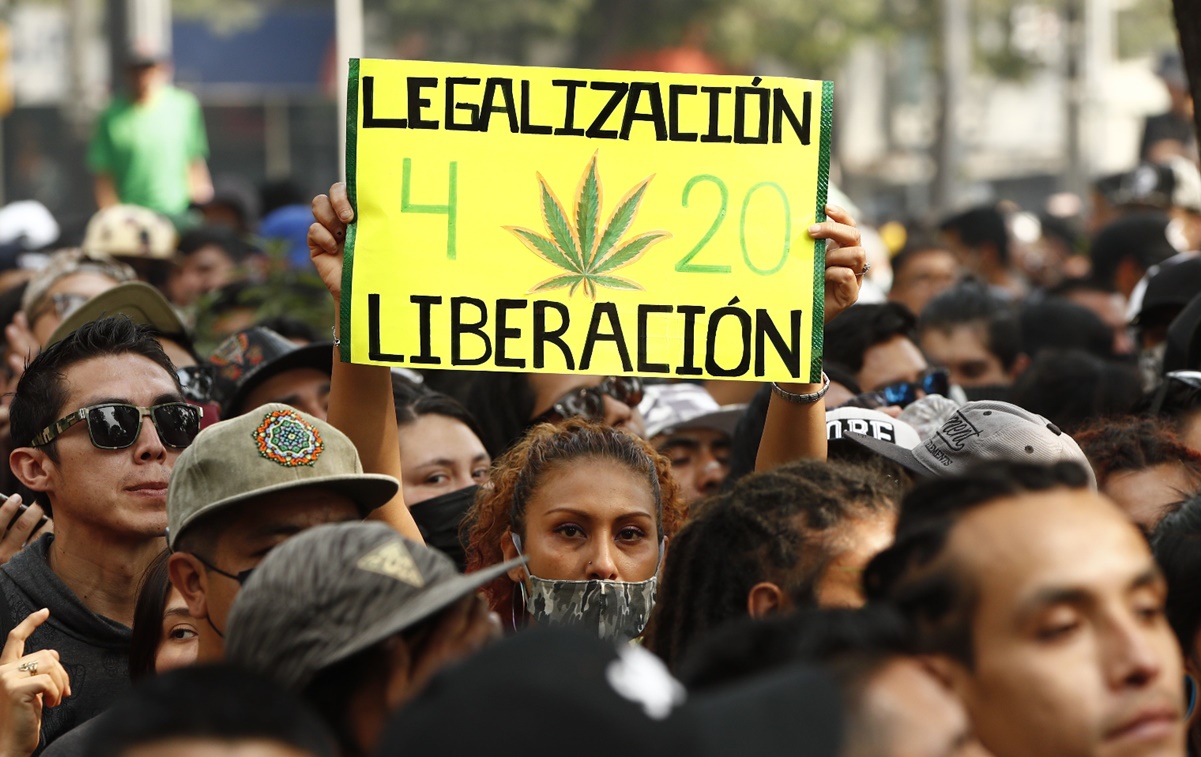 Senado aplaza dictaminación para regulación de la marihuana