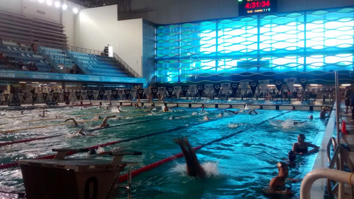 Federación de Natación rechaza suspender Campeonato Nacional ante intoxicación de atletas