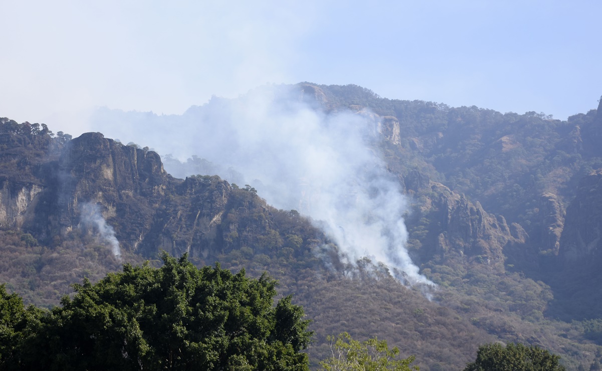 Arde el cerro de Tepoztlán, Morelos; controlan 60% del incendio
