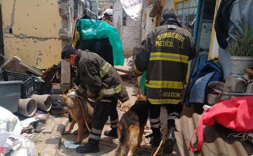 Perros atacan a bebé de año y medio en Ixtapaluca