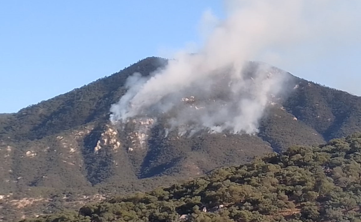 Incendio forestal afecta 90 hectáreas de la sierra alta de Aconchi, Sonora