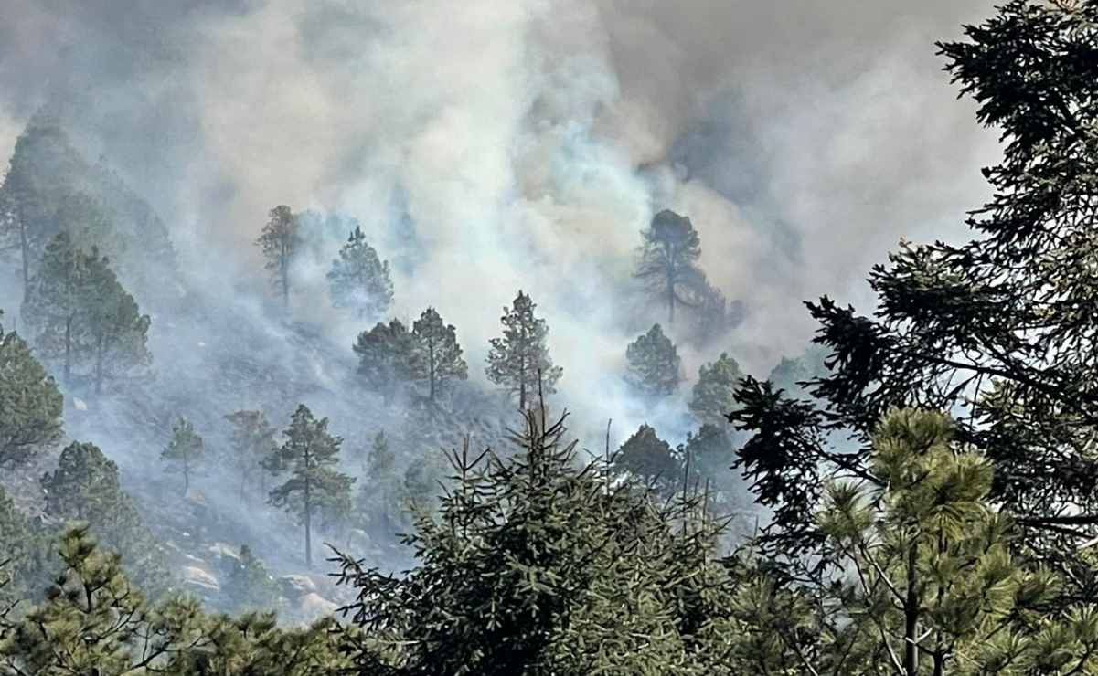 Recorte a presupuesto de Conafor afecta capacidad para atender incendios forestales en el país: Coparmex