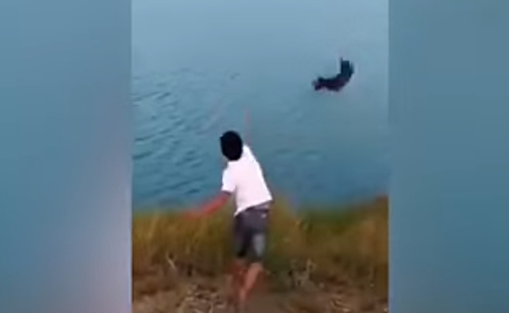 Video. Hombre lanza a cachorro a lago con cocodrilos y lo devoran en segundos