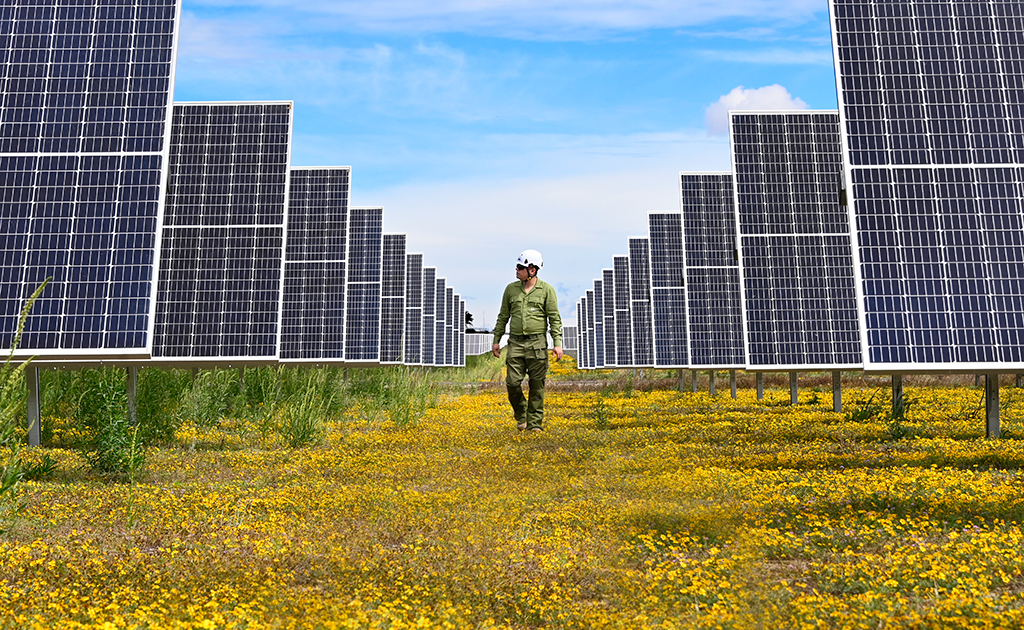 México Sostenible, una exposición fotográfica sobre la importancia de las energías limpias