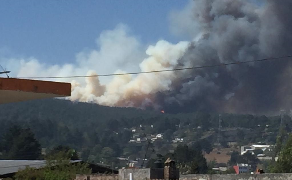 Incendio forestal obliga a evacuación de 100 familias en Veracruz