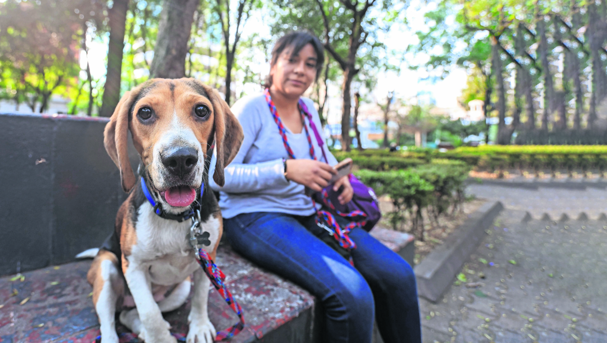 Veterinarias resienten la desconfianza a agua en BJ