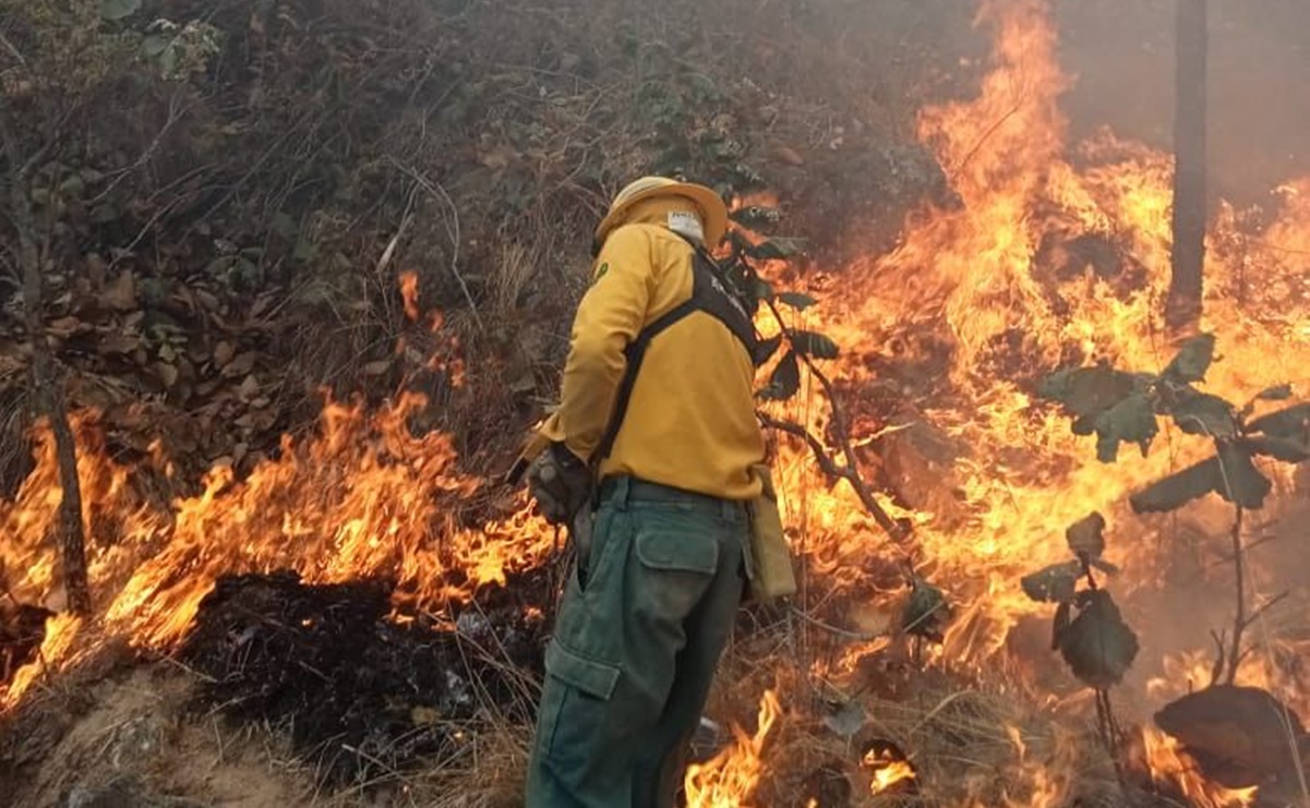 "A todos nos lloran los ojos y tenemos la nariz reseca": habitantes del Edomex se quejan por humo de incendios forestales