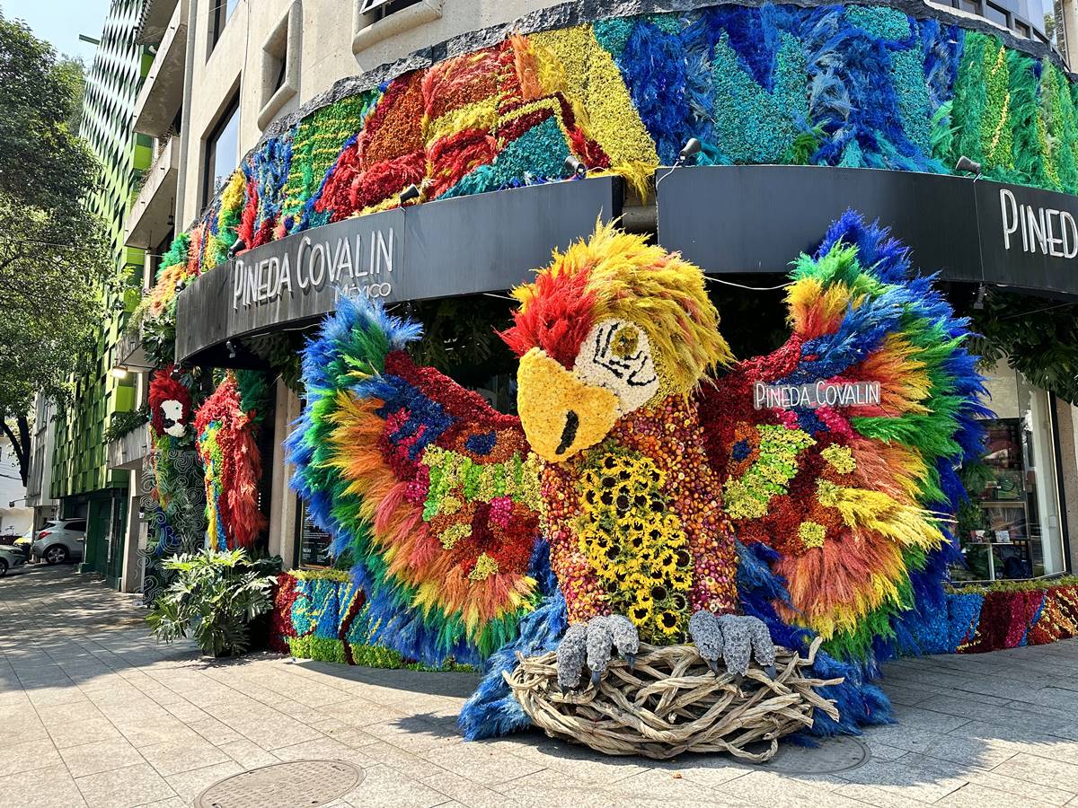 Comenzó el Festival Flores y Jardines: esto es lo que puedes ver 