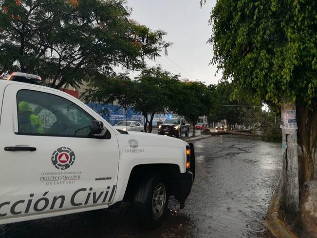 Lluvias pegan a varios municipios del estado