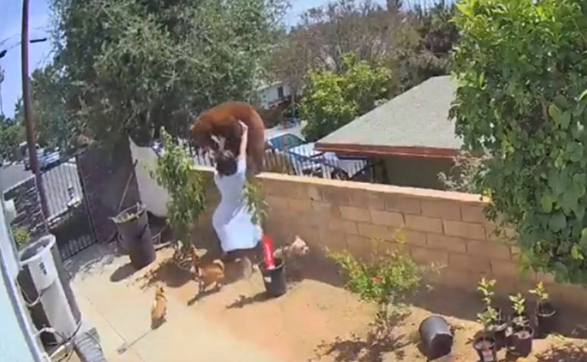 Captan cómo una joven se enfrenta a un oso para defender a sus perros en California