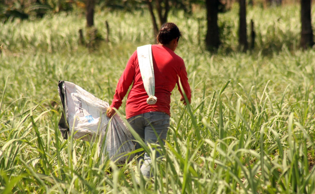 Mujeres y niñas, las más afectadas por cambio climático