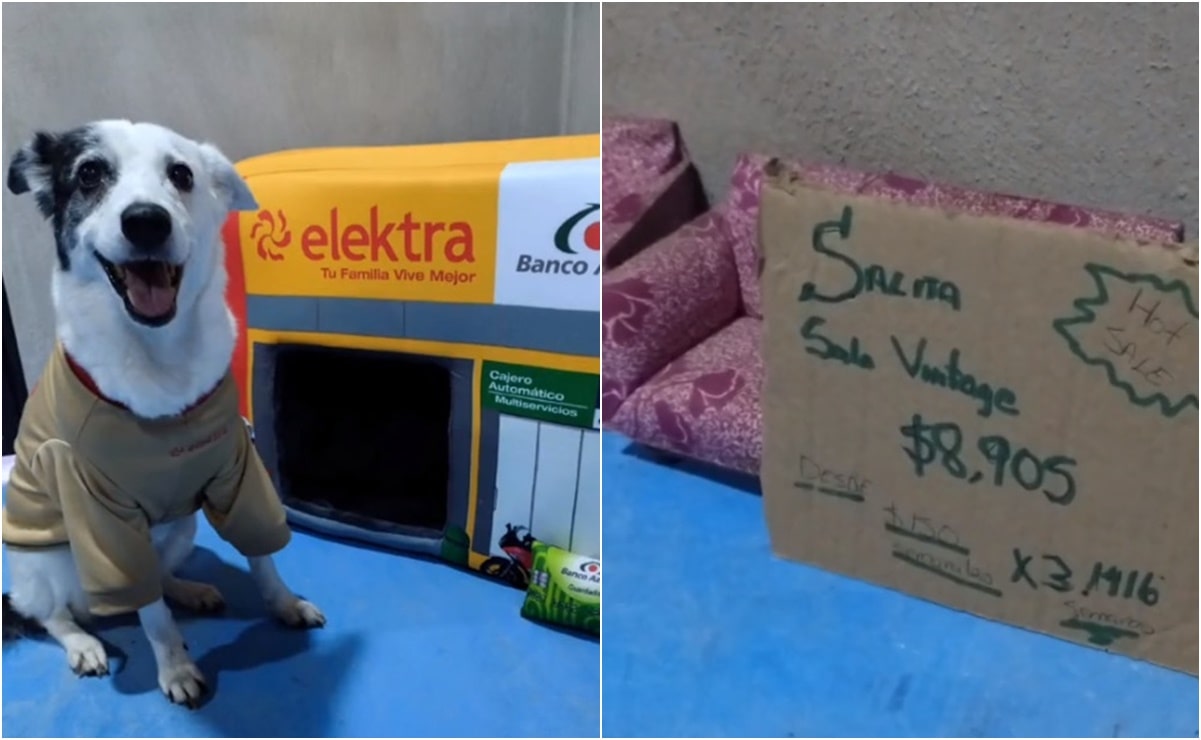 TikTok: Refugio crea camitas para perros con forma de Elektra, tienda de Salinas Pliego
