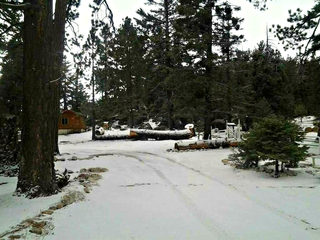 Bajas temperaturas provocan cierre temporal del Parque Nacional San Pedro Mártir