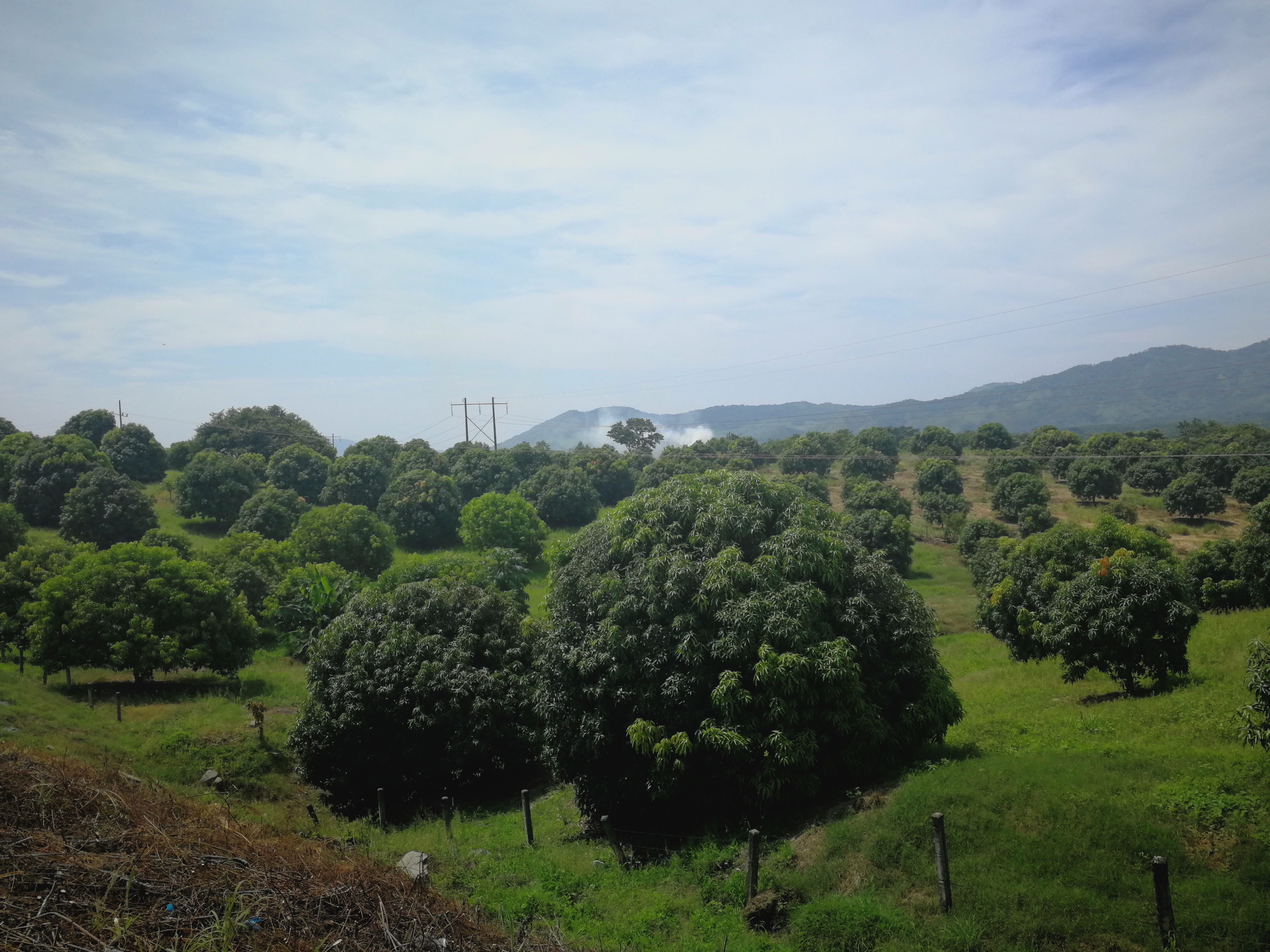 Preocupa a productores de Oaxaca aranceles tras renegociación del TLC