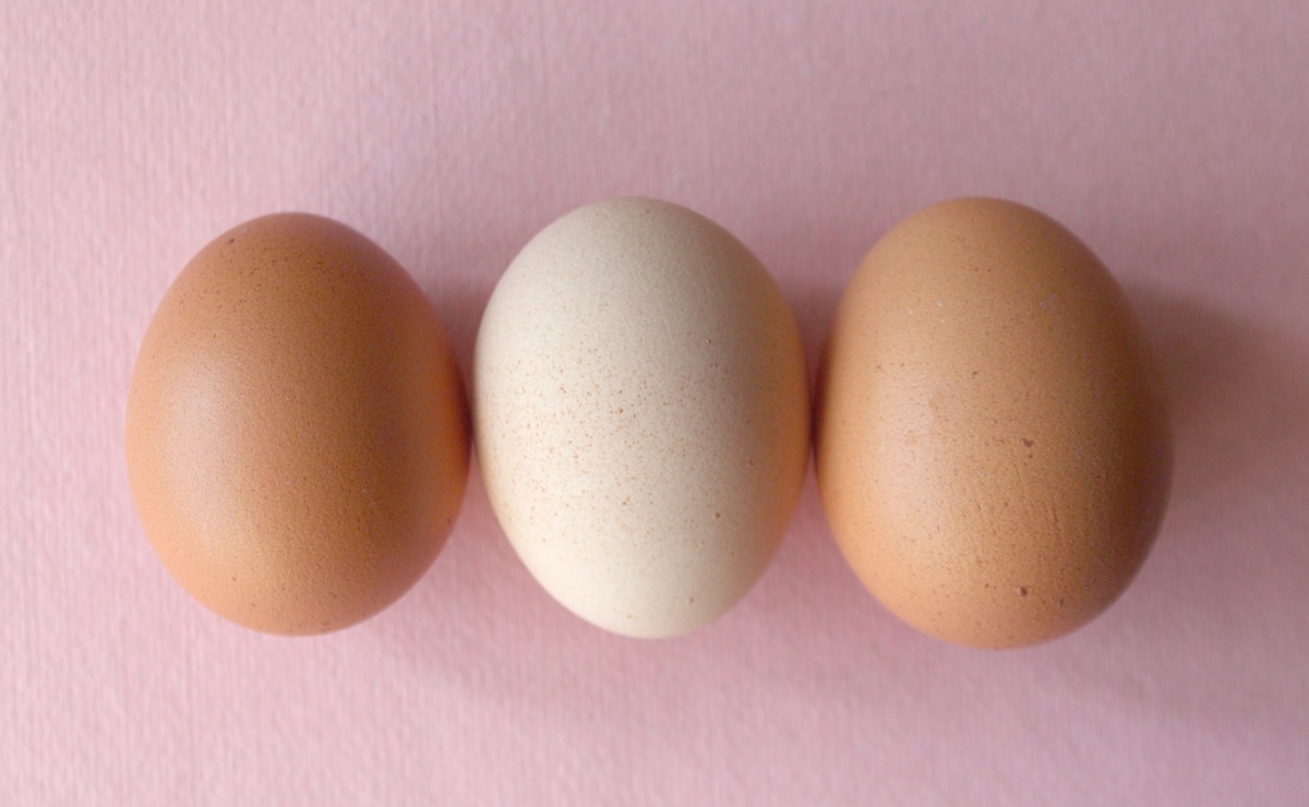 ¿Qué tipo de huevos conviene comprar, según el color?