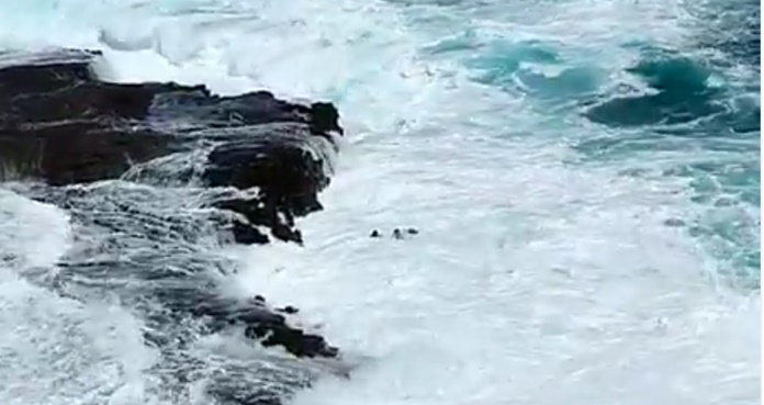 Video. Por tomar selfie, pareja es arrastrada por olas gigantes en Hawái