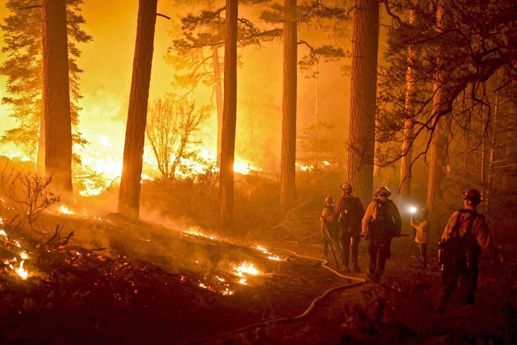 Incendio forestal en California destruye 7 mil hectáreas