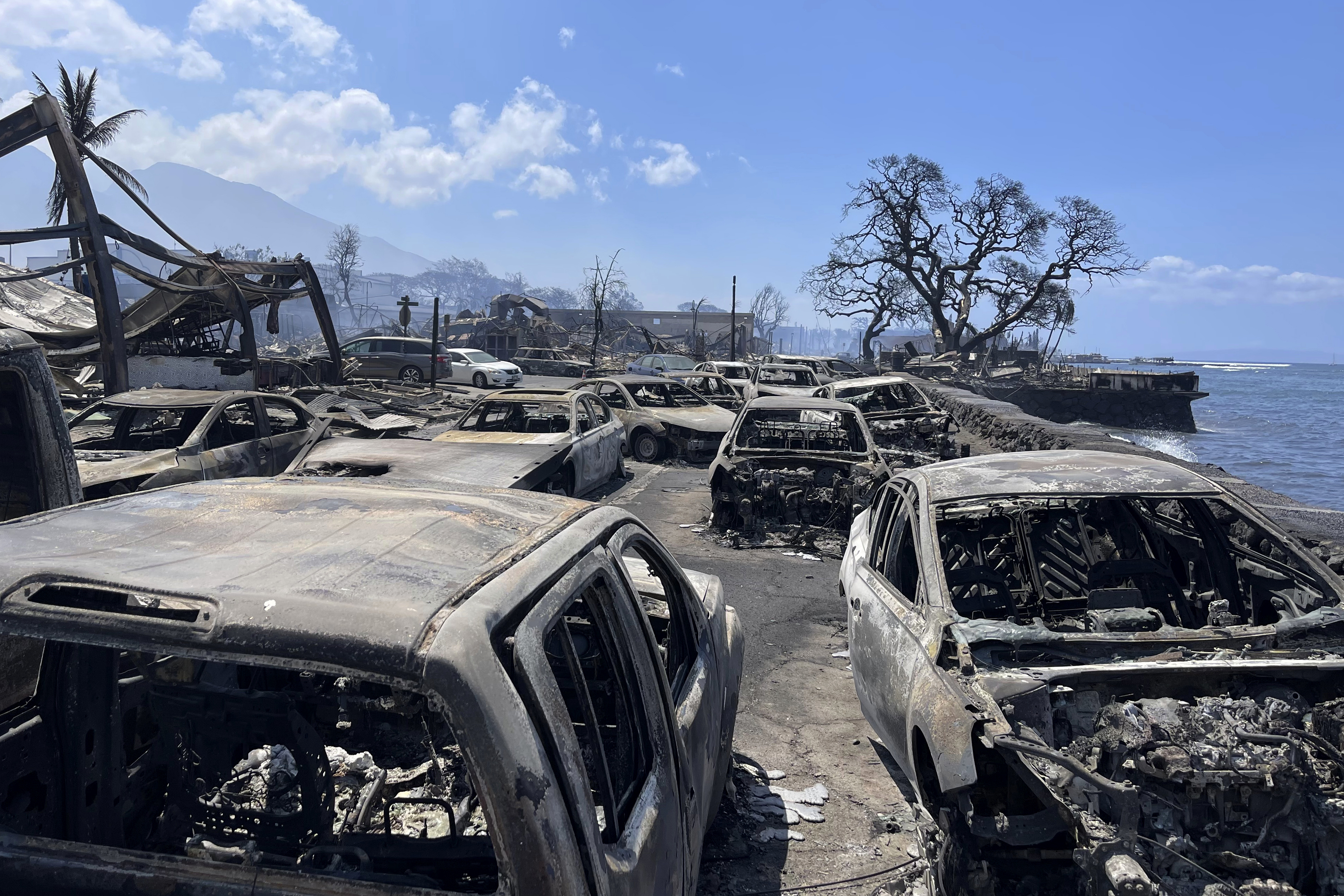 Catástrofe en Hawái: Incendios han dejado un saldo de 53 muertos y miles de personas sin hogar