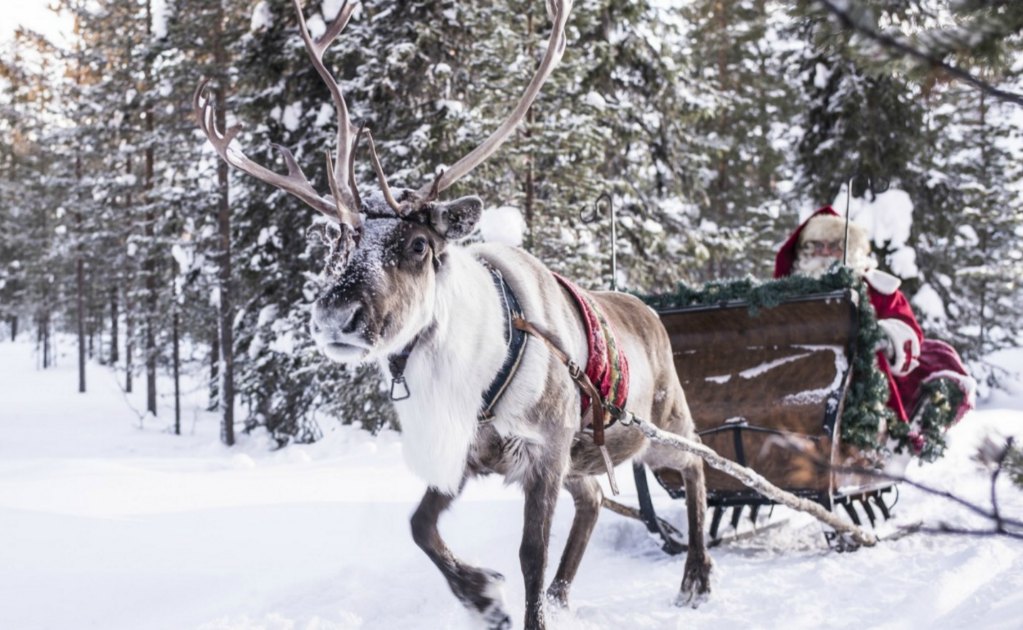 Renos y trineos en la aldea de Santa Claus