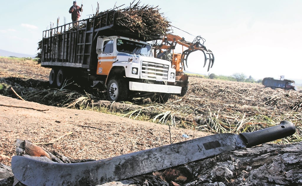 PRI Oaxaca en contra de recorte al campo de 29% que pide AMLO para 2020