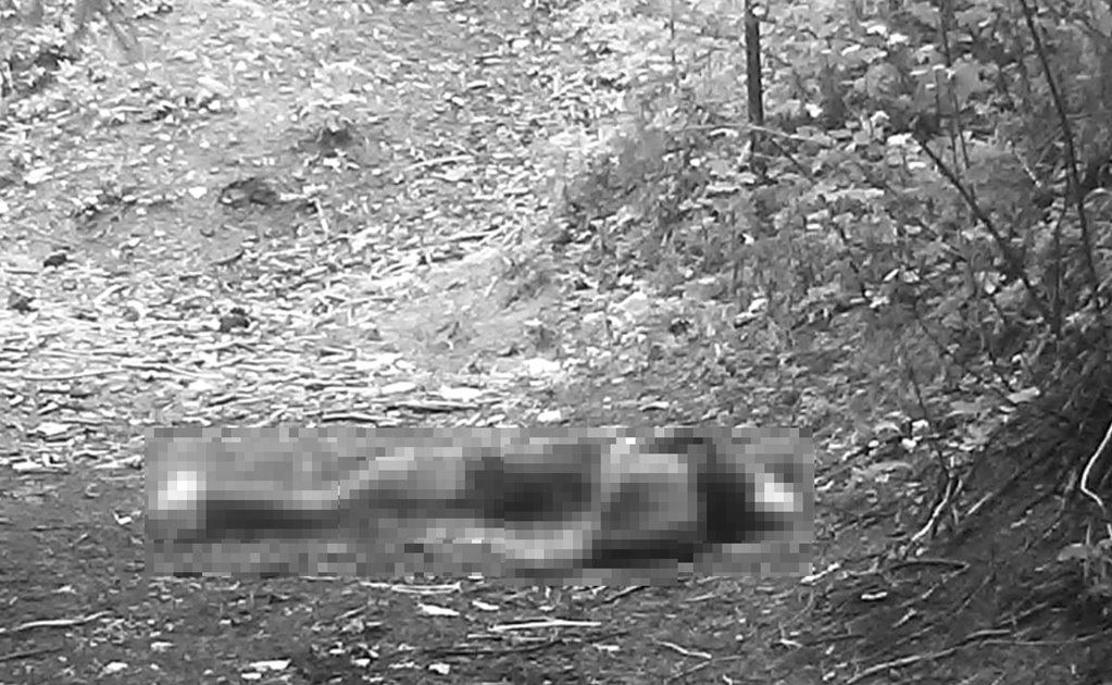 PGJ identifica tres de los cuatro cadáveres encontrados en Ajusco