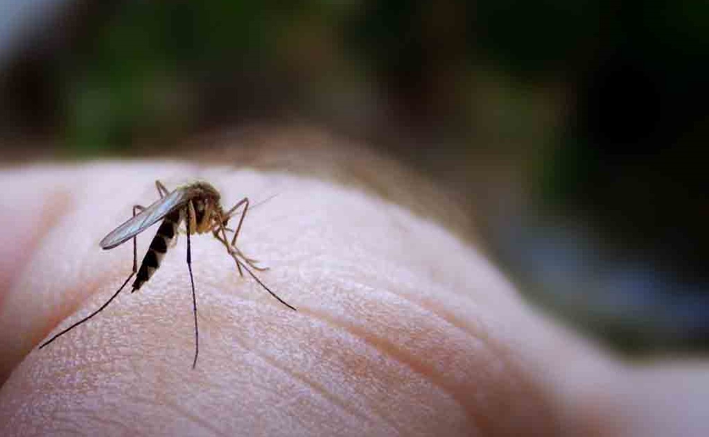 Transfiere EU fondos de combate a ébola para zika