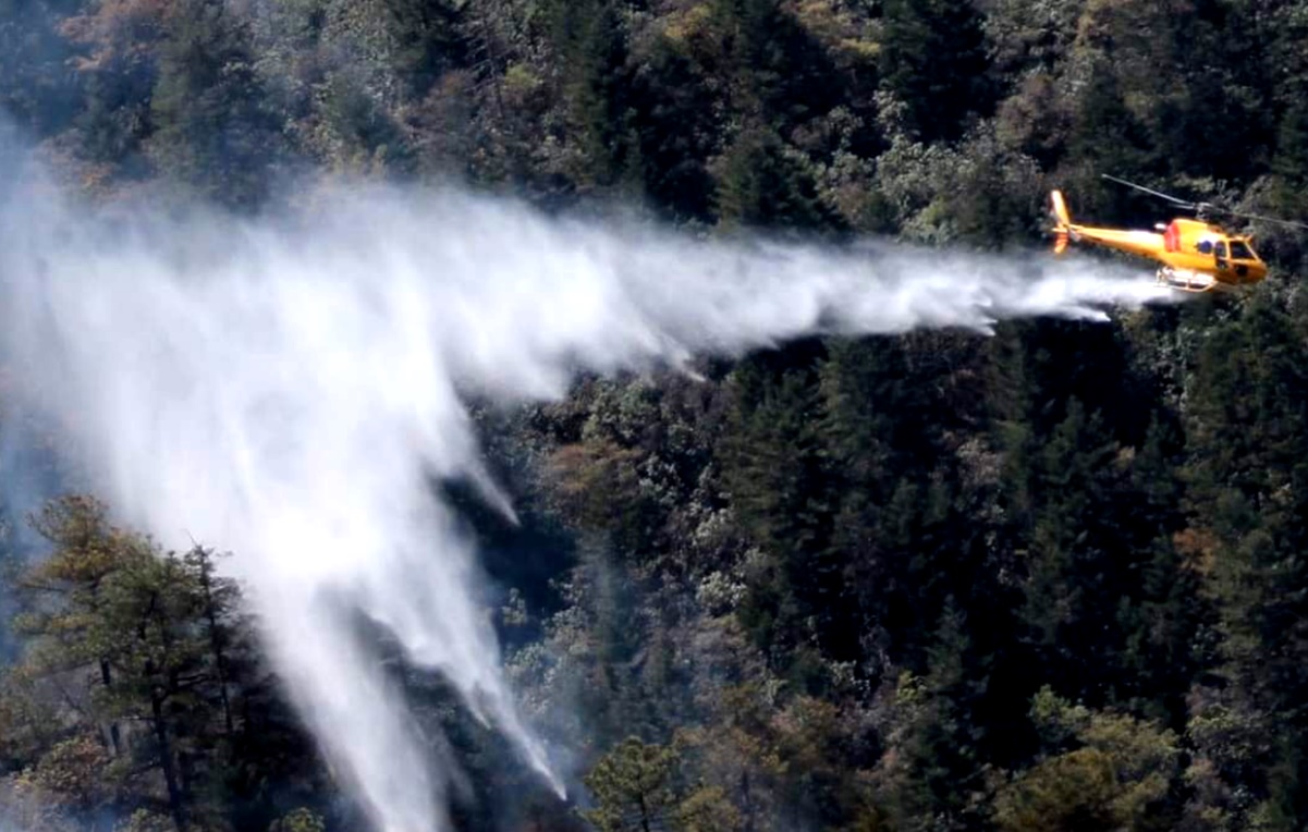 Se registran más de 5 mil incendios forestales en primeros 6 meses: Conafor