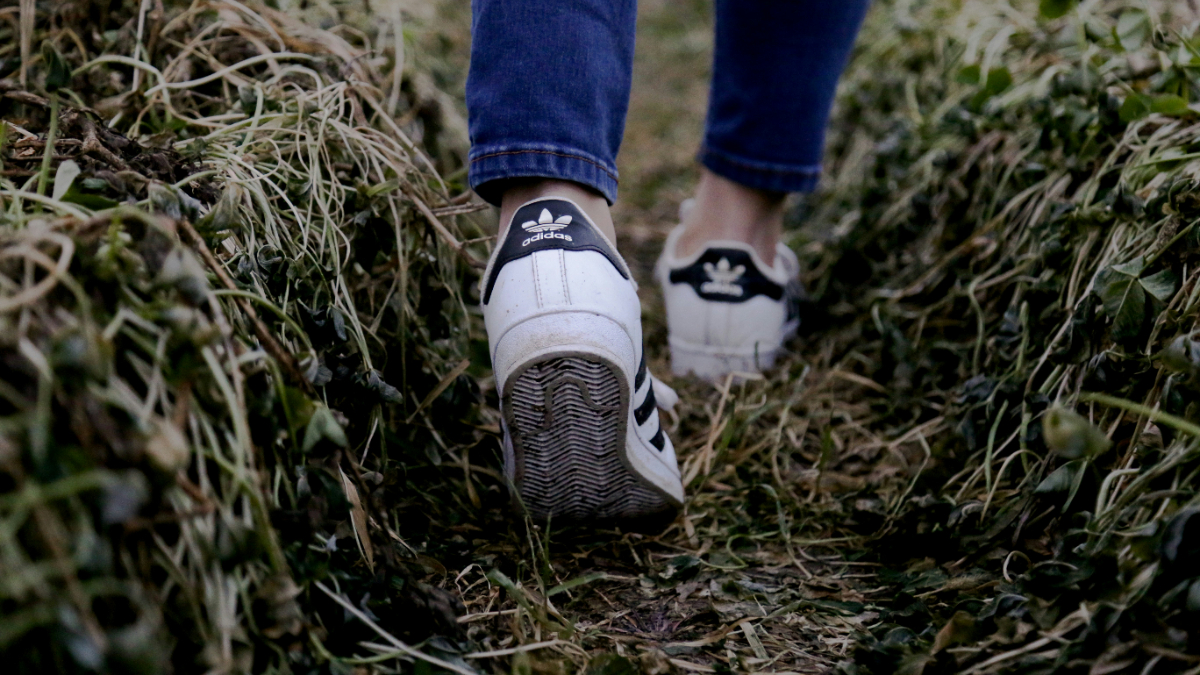 ¿Cuántos minutos debes caminar a la semana para asegurar la longevidad?