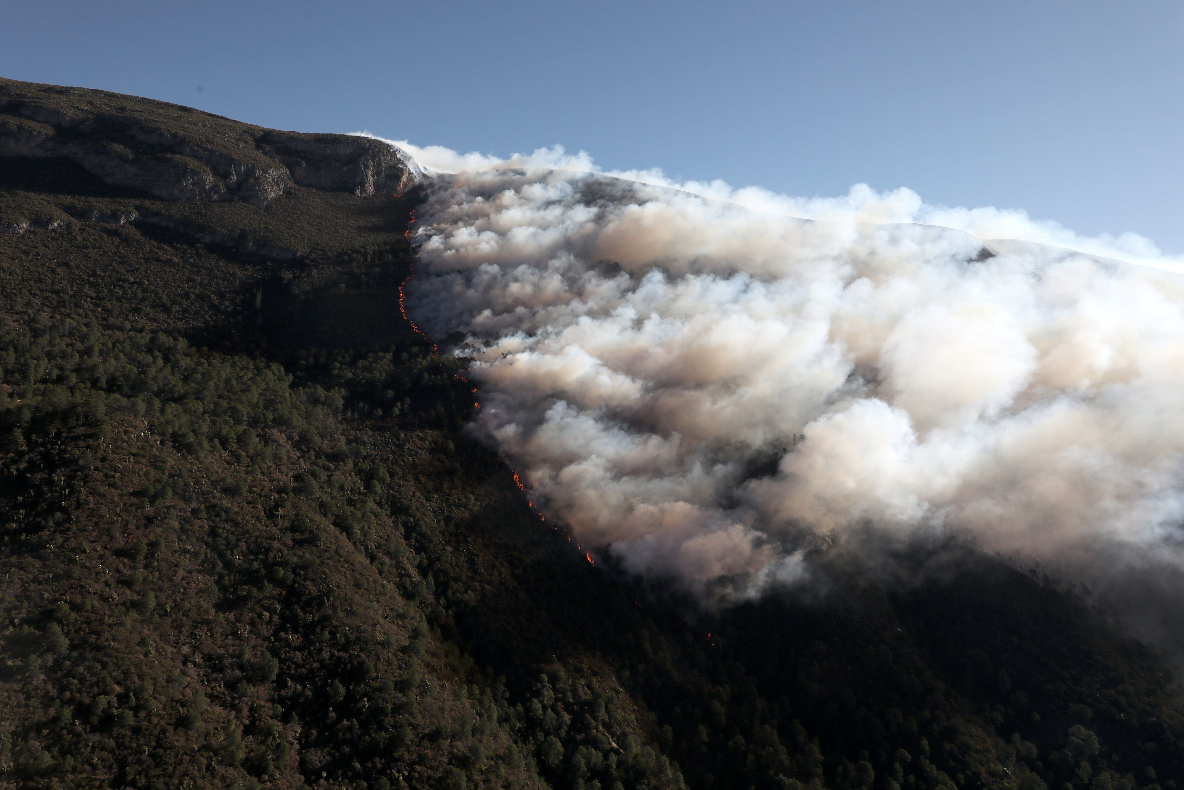Conafor reporta control del 30% en incendios forestales de Coahuila y 40% en Nuevo León