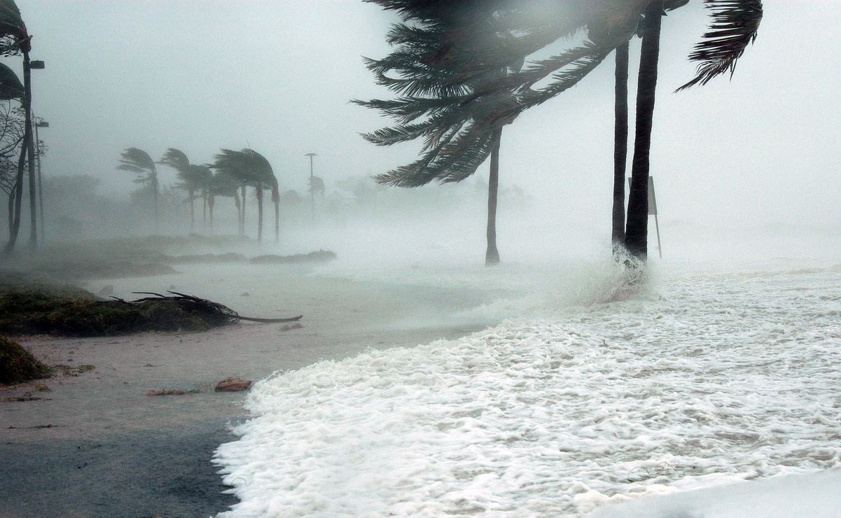 Prevén que 'Idalia' impactará Florida como huracán categoría 4