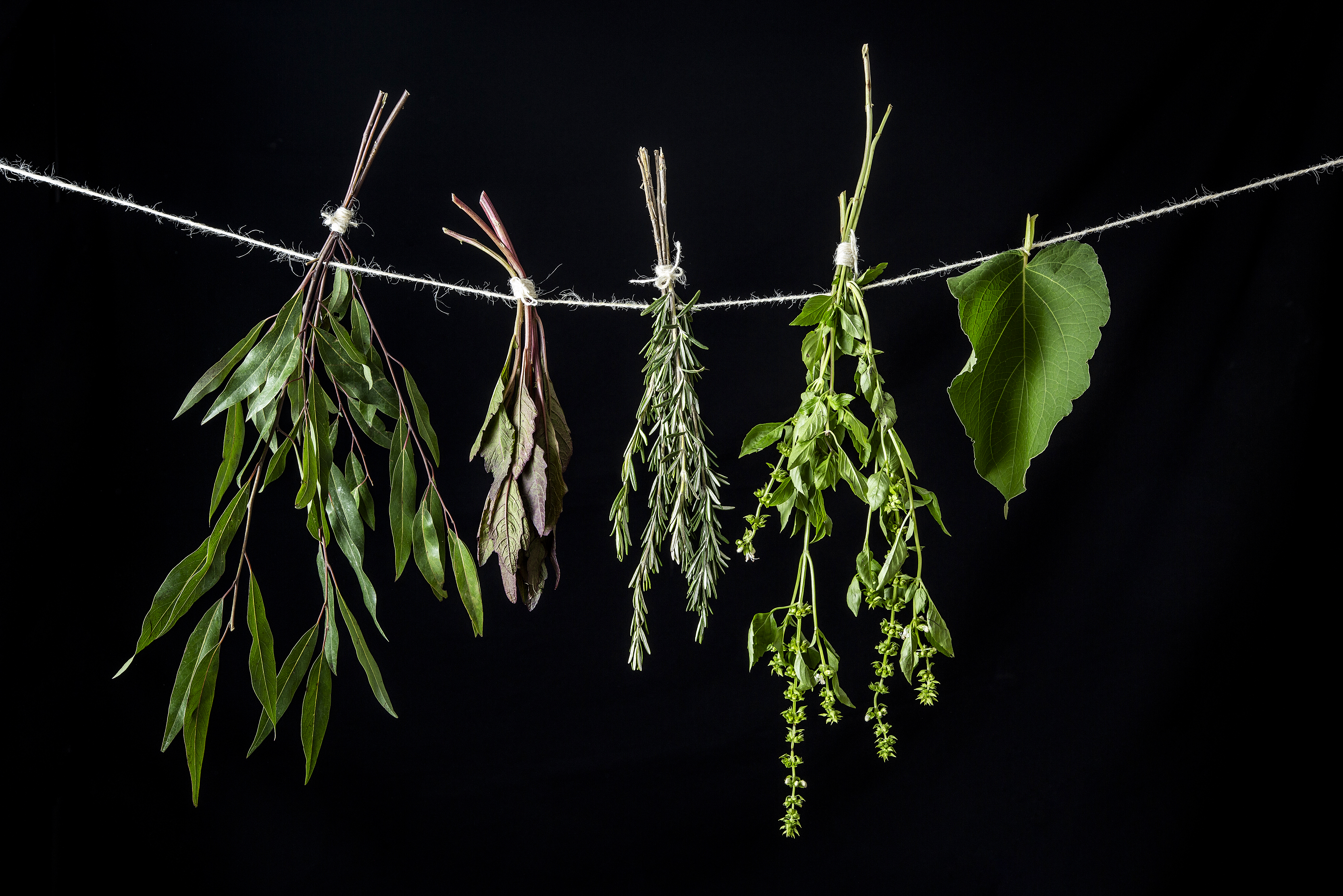 Así se usan las hierbas aromáticas en tu cocina