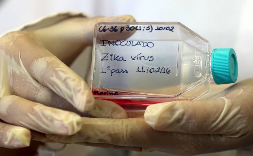 Zika podría permanecer en semen por largo tiempo: médicos
