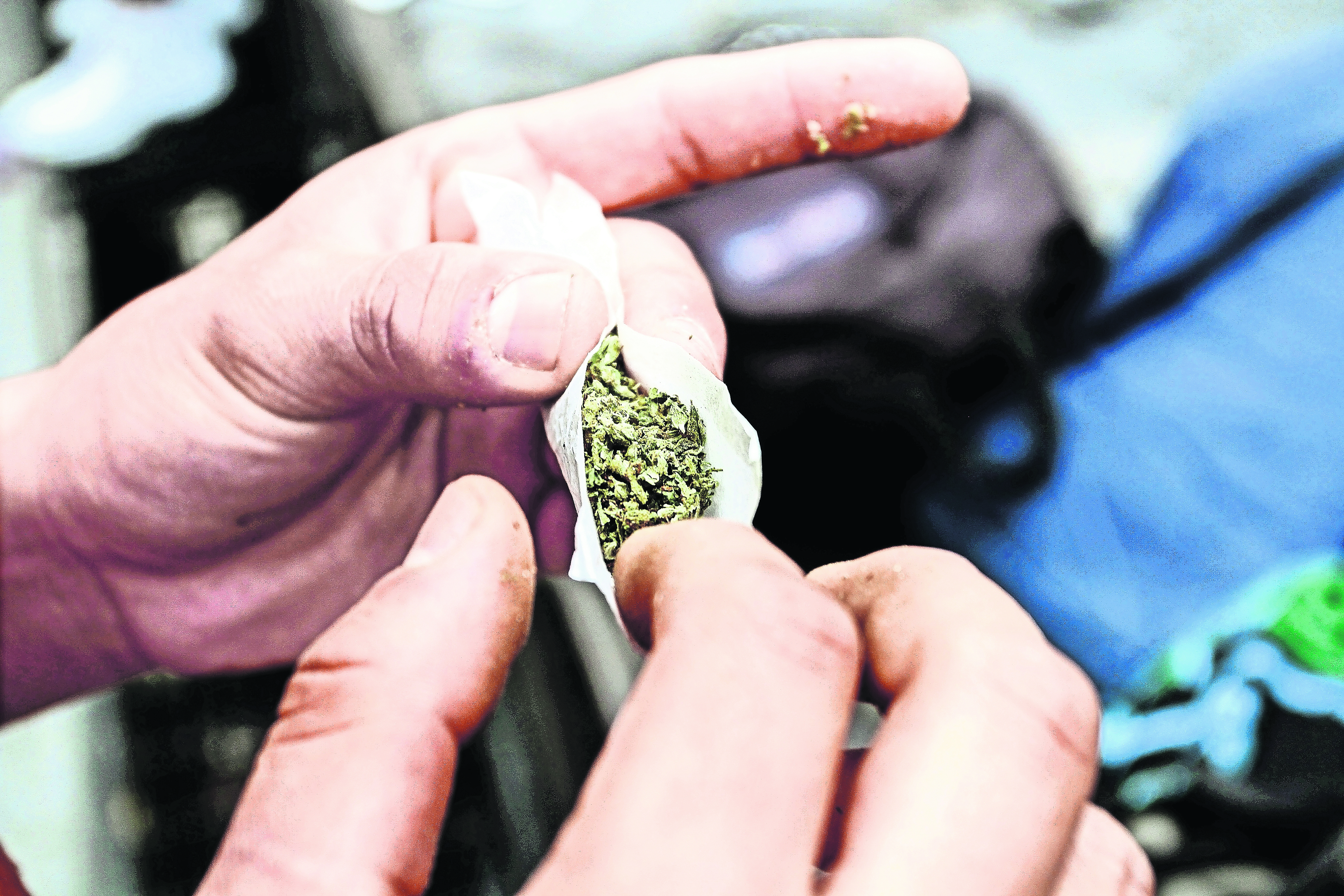 Corte resolverá mañana dos asuntos sobre consumo personal de cannabis
