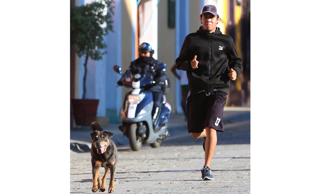 Piden que “Mazapán”, perro que baila Guelaguetza, sea imagen cultural de Oaxaca