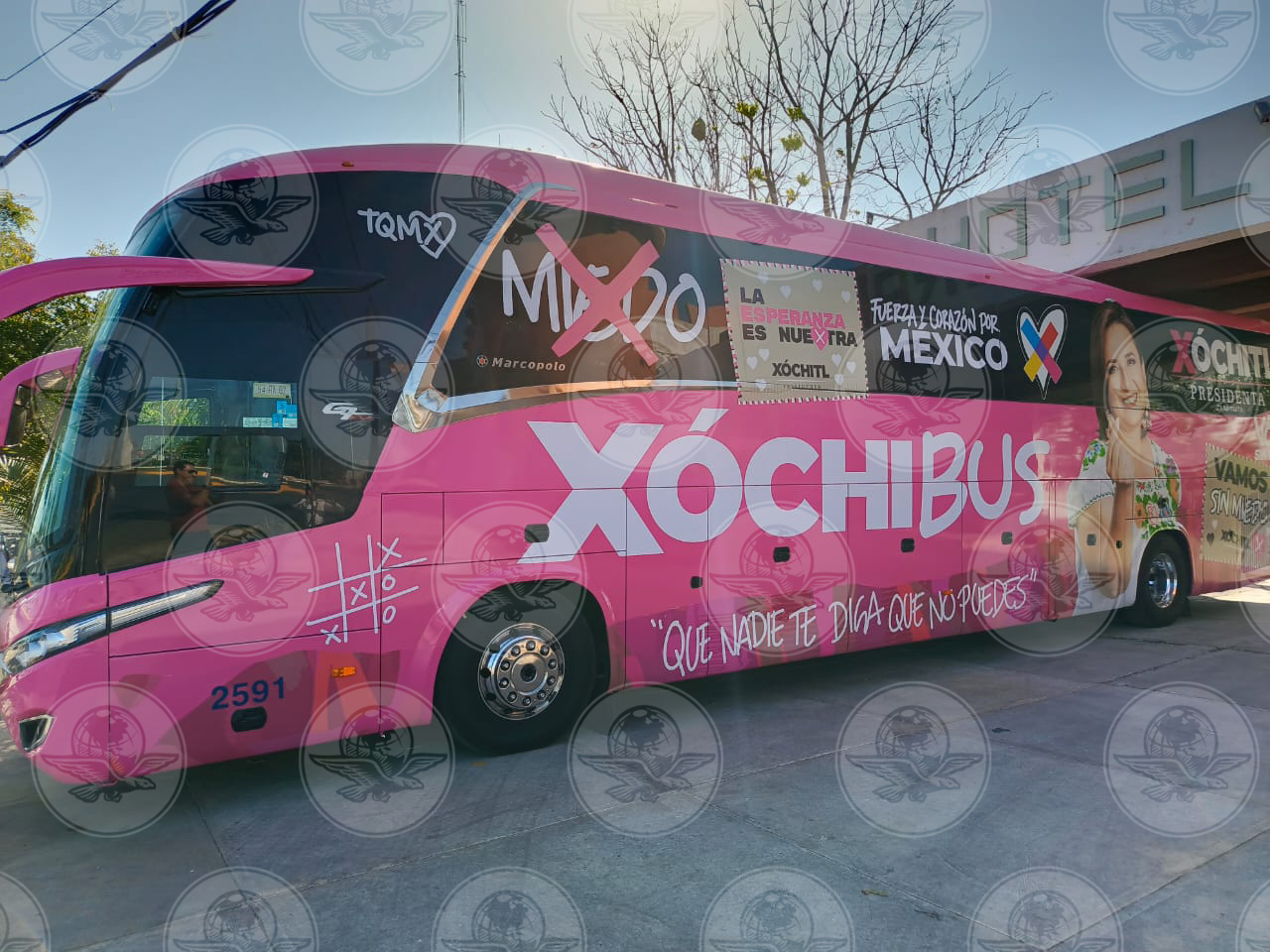 Xóchitl Gálvez estrenará el "Xóchibus"