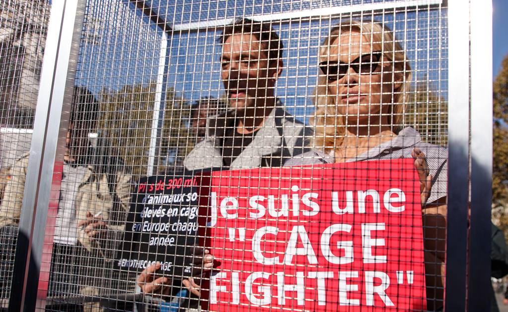 ​Pamela Anderson protesta encerrada en una jaula  