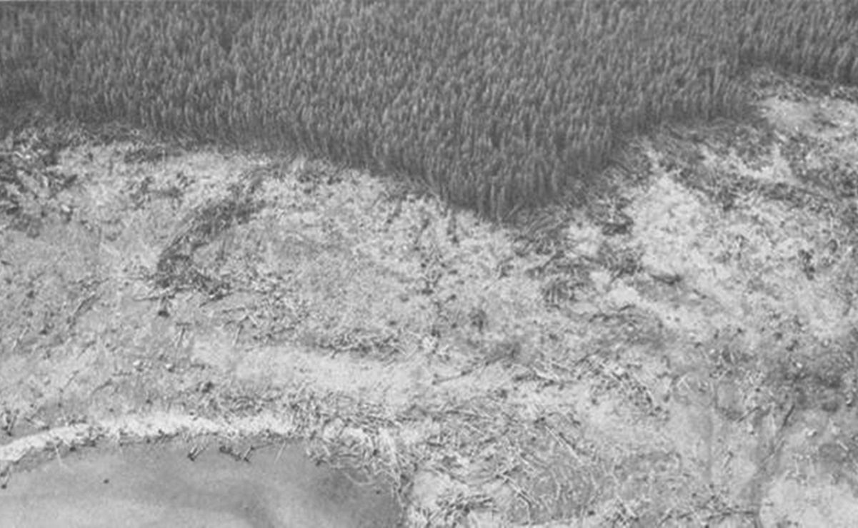 La ola de 524 metros que devastó una isla en Alaska en 1958