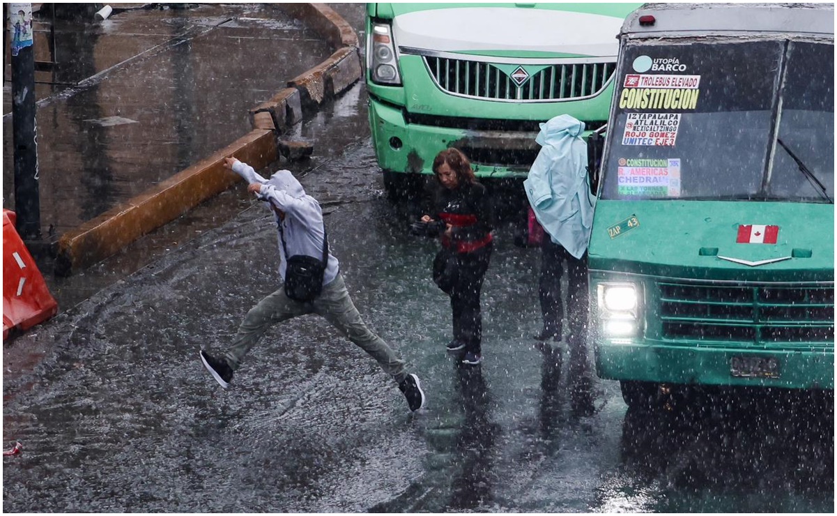 Fuertes lluvias dejan árboles caídos y encharcamientos en la CDMX