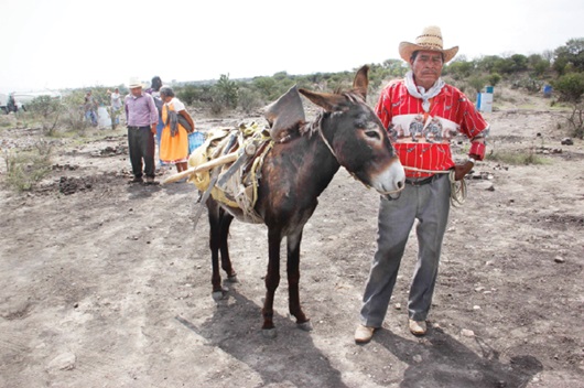 Alertan por "coyotes" de granos