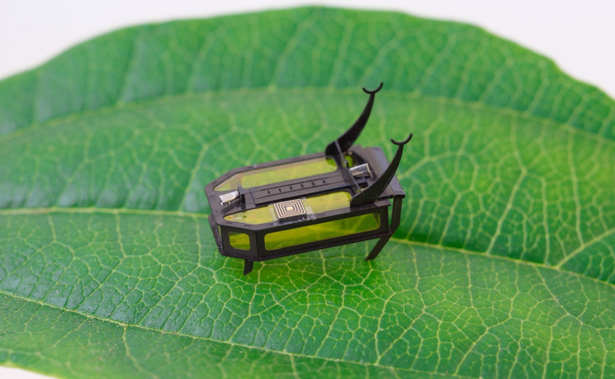 RoBeetle, el robot escarabajo cuyo sistema muscular está basado en metanol