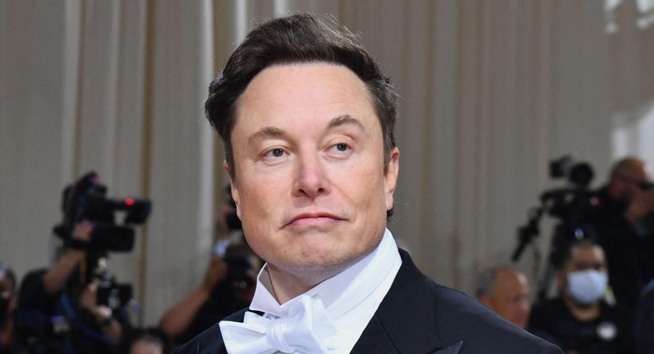 Elon Musk se burla de su foto topless y exclama "free the nip..."