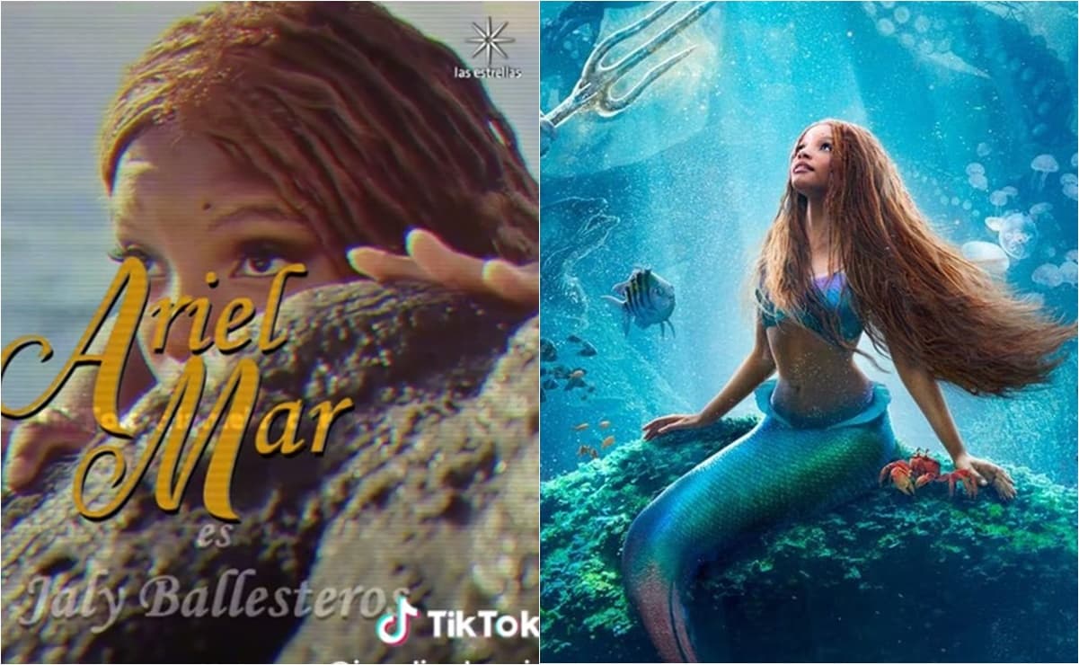 TikTok: Así se vería 