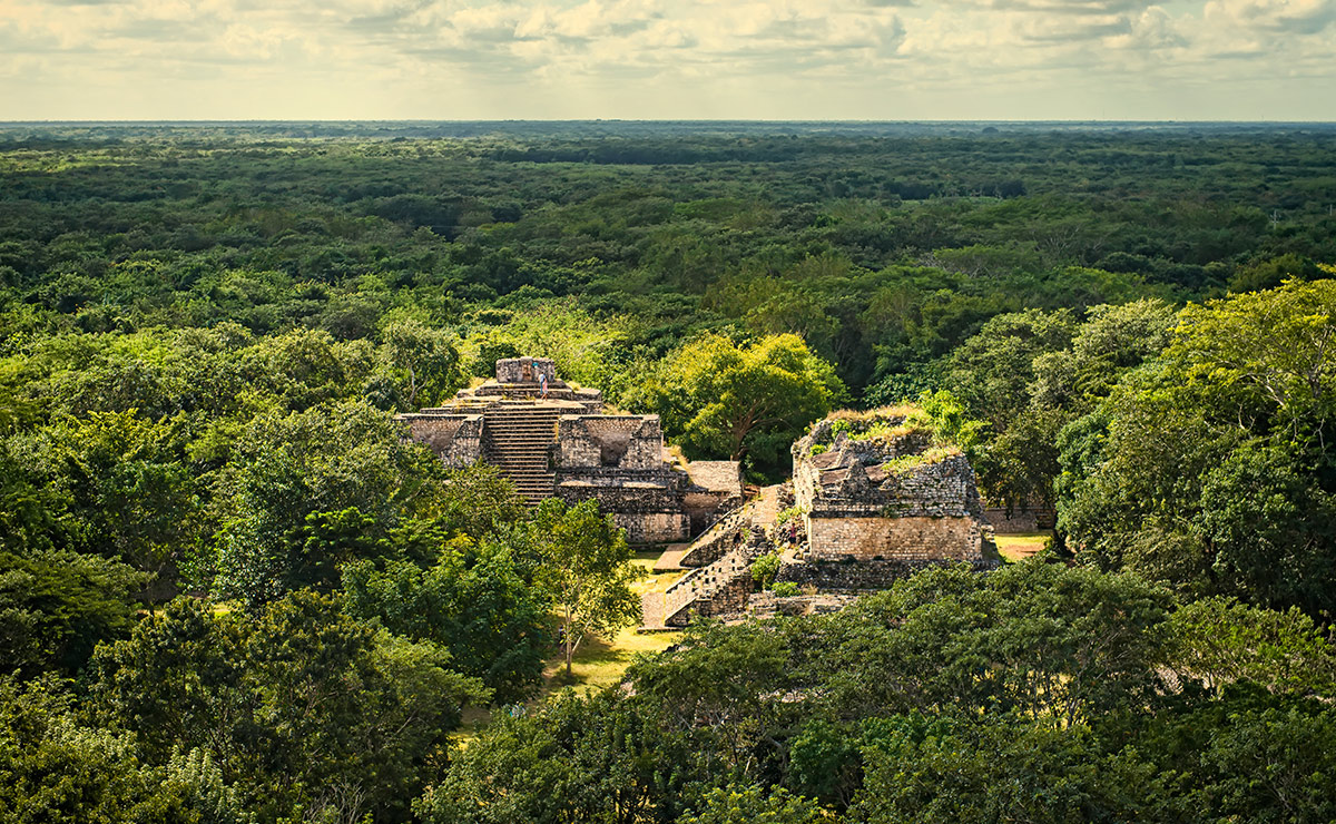 Tren Maya, breve historia de un capricho antiambientalista