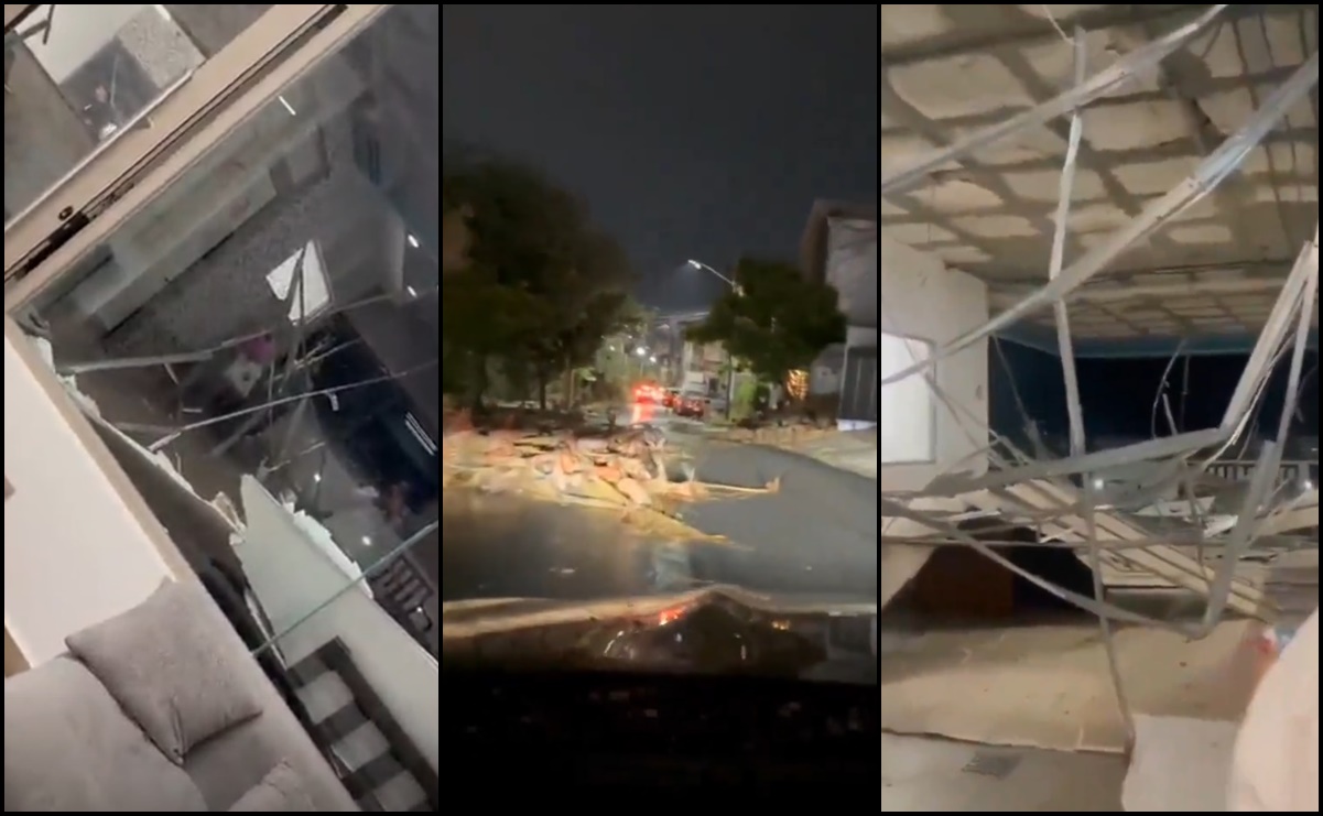 VIDEOS: Fuertes vientos dejan árboles caídos y techos colapsados en Monterrey, Nuevo León
