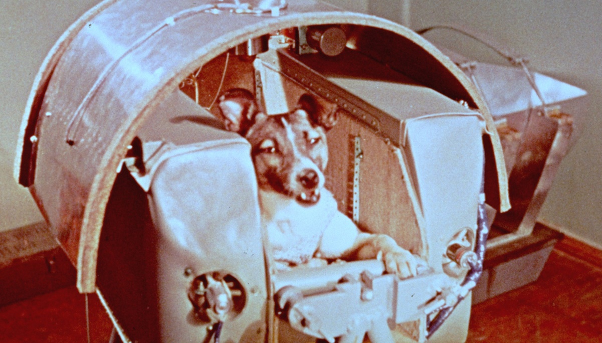 Cuando la perra Laika voló por el cielo de México, durante su viaje espacial en el Sputnik II