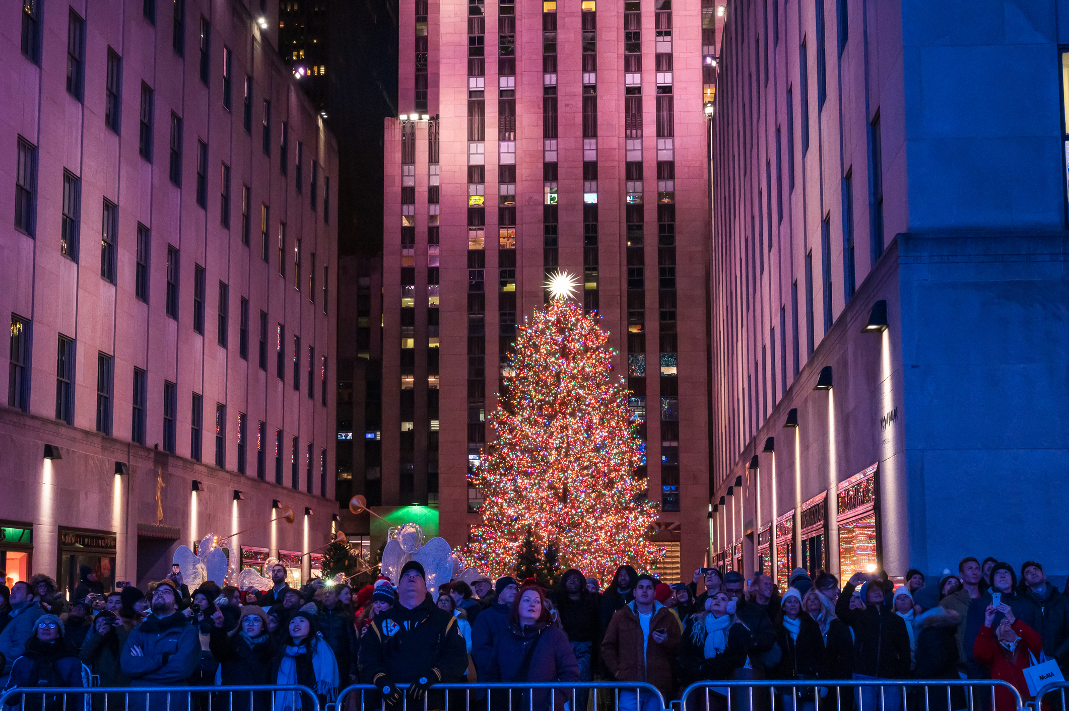 Árbol de Navidad del Rockefeller Center: ¿Cuánto medirá el abeto que iluminará el centro de Manhattan?