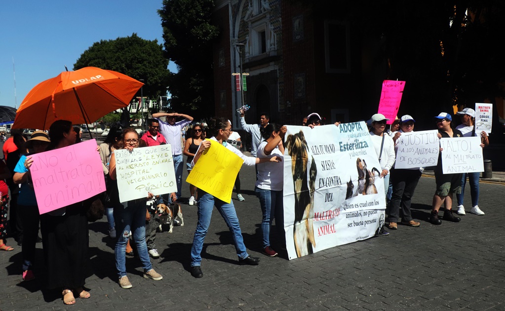 Autoridades liberan a mujer acusada de matar perros y vender su carne en Puebla