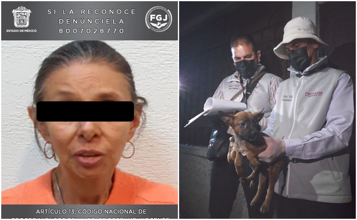 ¡Detenida por maltrato animal! Mujer tenía 27 perros en condiciones deplorables en Atizapán de Zaragoza